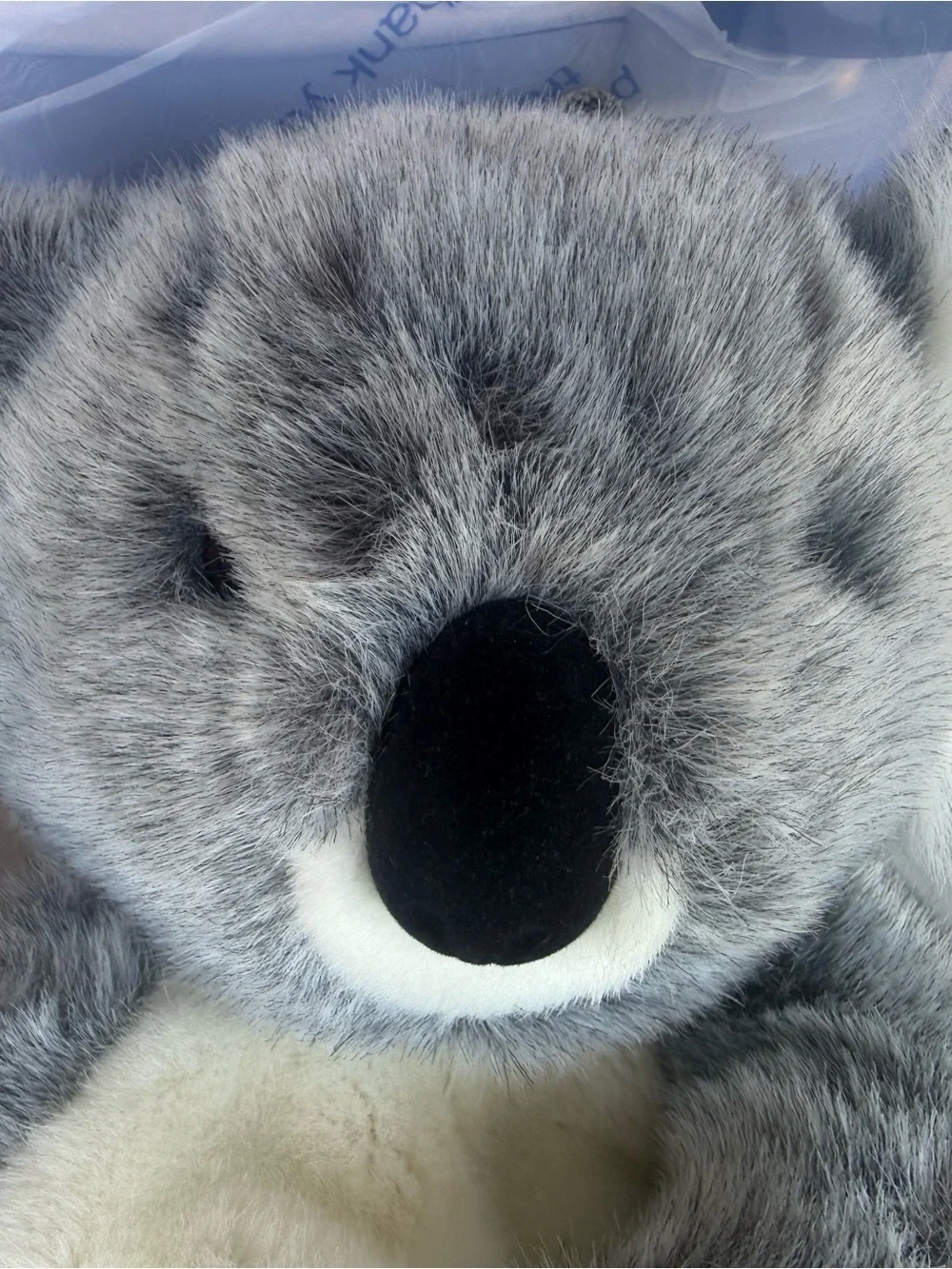 Plush Koala Backpack